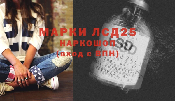 spice Медвежьегорск