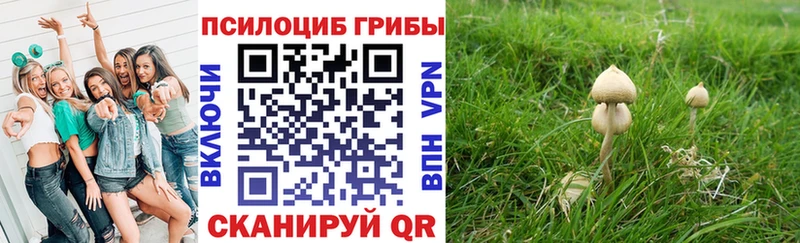 сайты даркнета как зайти  Электроугли  Псилоцибиновые грибы мухоморы 