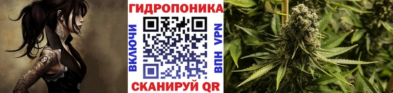 Марихуана сатива  Электроугли 